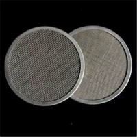 Hot Sale 100Micron  Stainless Steel Wioven Filter Mesh/Filter Disc